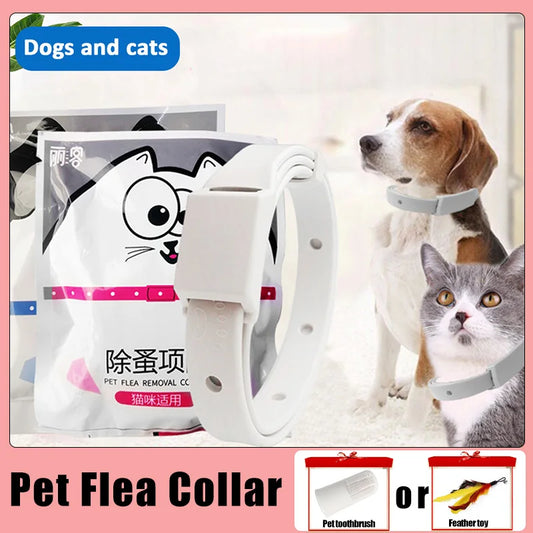 8Month Protection Anti Flea Tick Collar For Cat Small Dog Antiparasitic Adjustable  Puppy Kitten Collar Breakaway Pet Accessorie